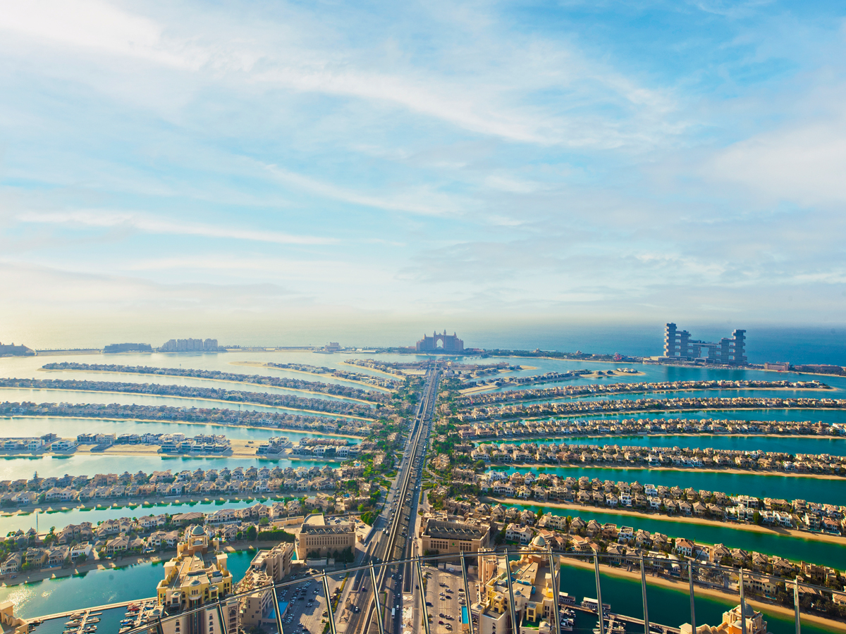 View At The Palm