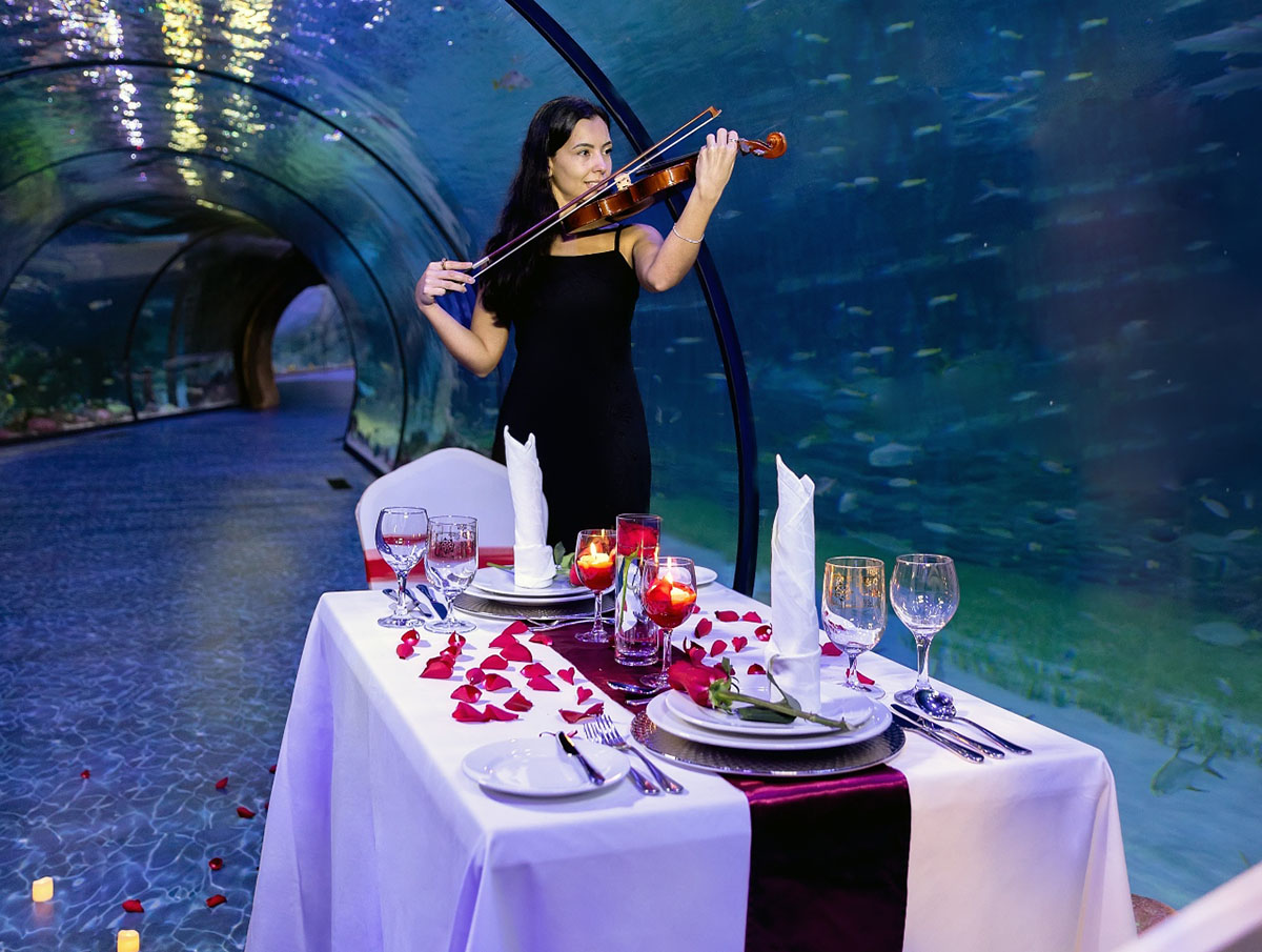 National Aquarium Valentine's Day celebrate underwater