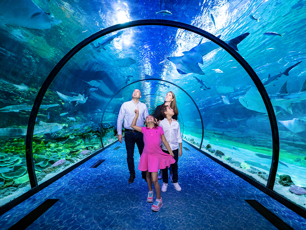 National Aquarium Abu Dhabi Everything you need to know before you go