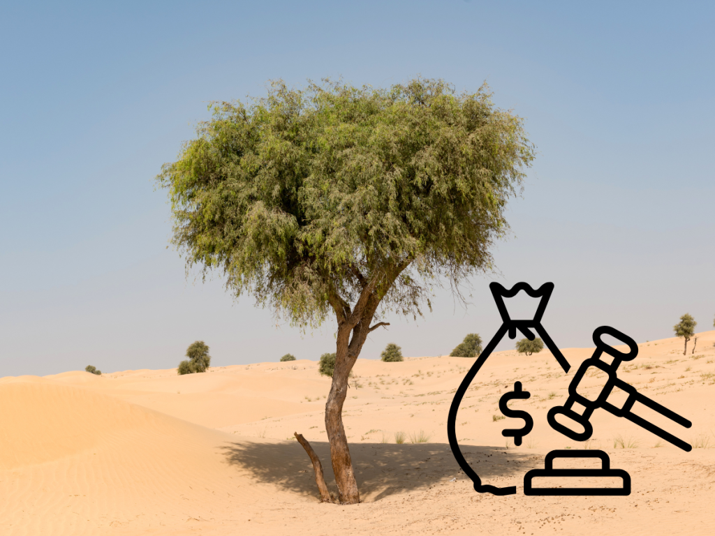 tree fine abu dhabi