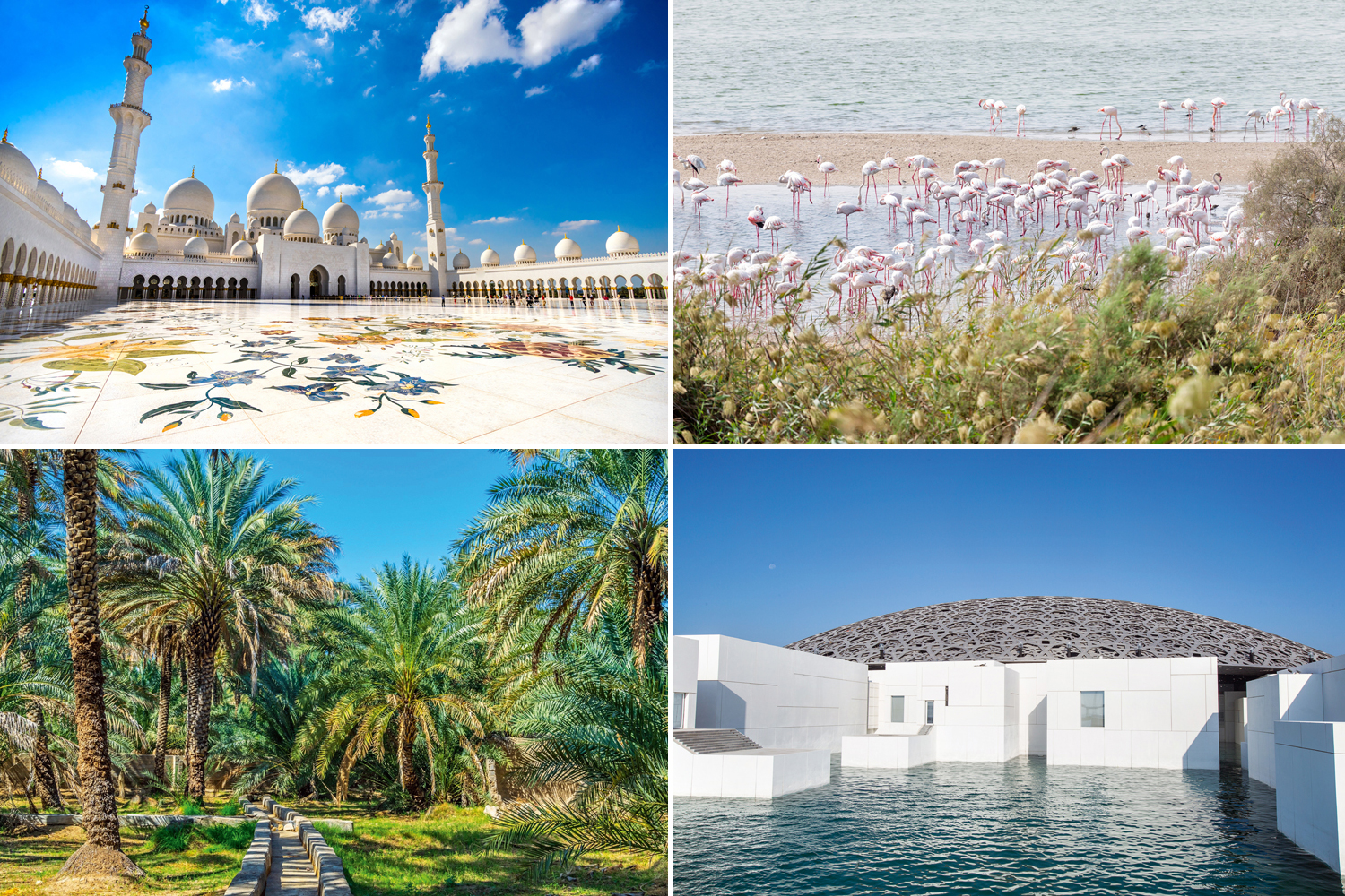 Best Abu Dhabi Tourist Attractions Attractions Things To Do Time Out Abu Dhabi