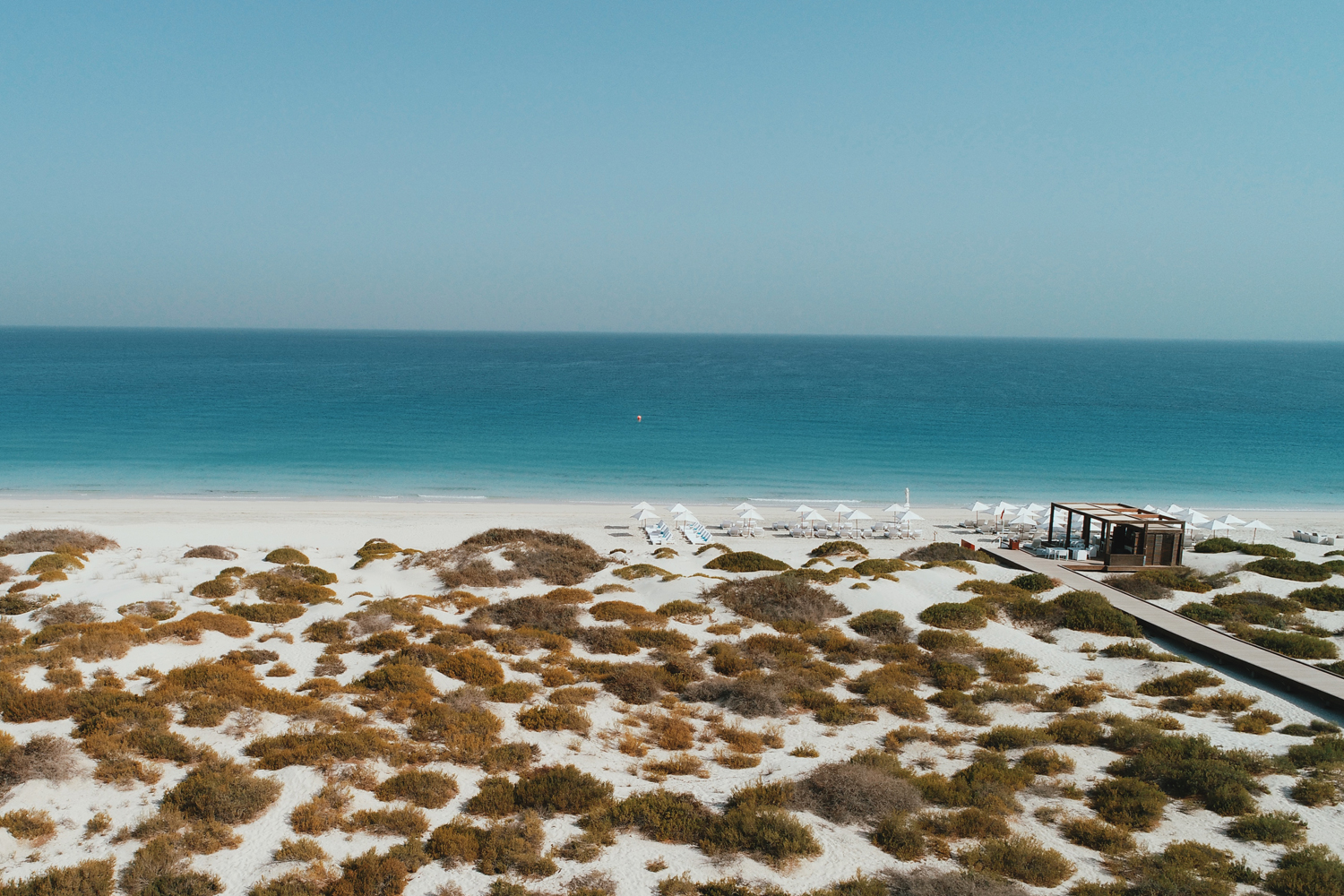 Abu Dhabi beaches are now open - Whats On Abu Dhabi