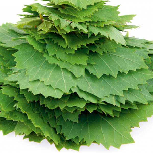 Know Your Arabic Greens Restaurants Time Out Abu Dhabi