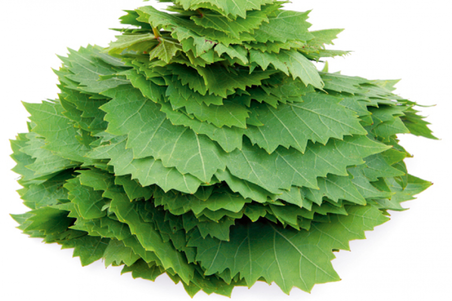 Know Your Arabic Greens Restaurants Time Out Abu Dhabi