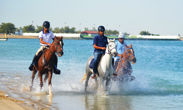 Horse Riding In Abu Dhabi Mandara Equestrian Club Al Lazaz Stable And More Mybayut