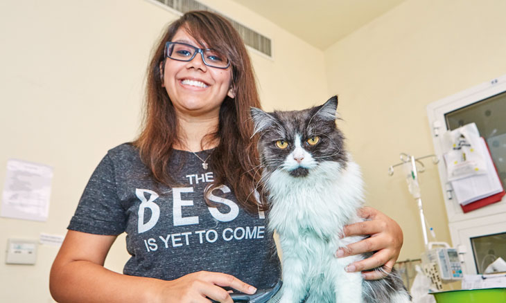 Australian Veterinary Hospital In Abu Dhabi Community Things To Do Culture Time Out Abu Dhabi