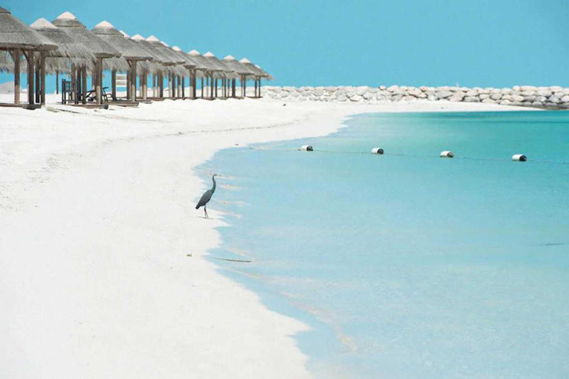Abu Dhabi S Al Maya Island Has Reopened With Day Pass Deals Bars Nightlife Things To Do Time Out Abu Dhabi With its white sands and beautiful waters, al maya island & resort is the perfect getaway destination from the bustling city! abu dhabi s al maya island has reopened