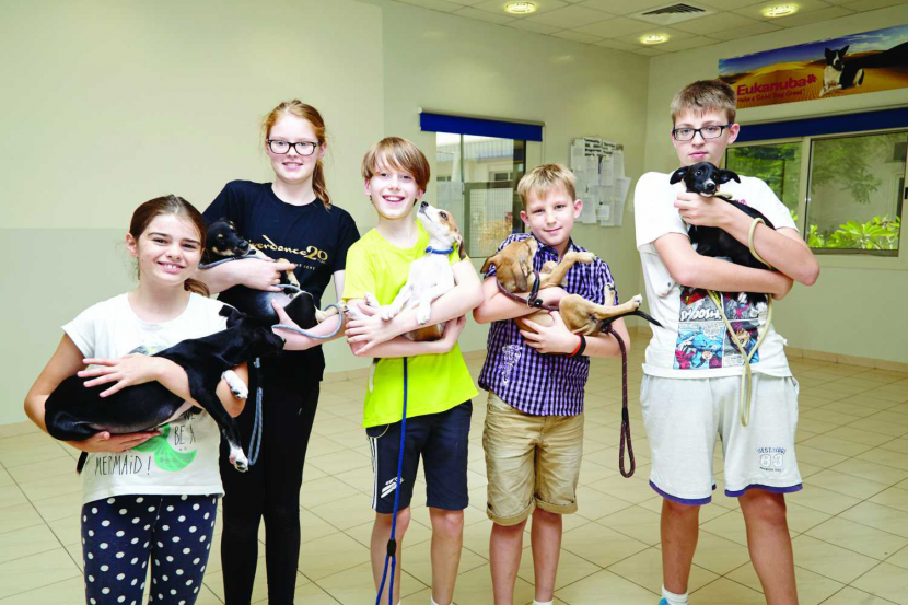 Everything You Need To Know About Owning A Pet In The Uae Things