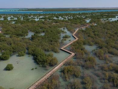 Ultimate Guide To Abu Dhabi S Islands Attractions